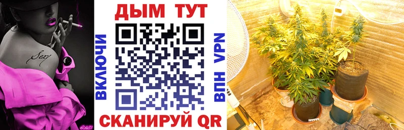 Как найти наркотики Реутов КОКАИН  Alpha-PVP  Гашиш  Вейп ТГК  Меф  Бошки Шишки 